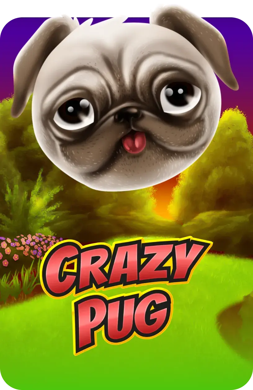 Crazy Pug
